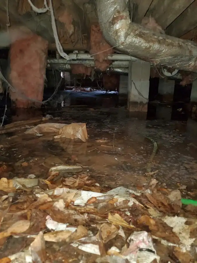 Crawl space flood assessment for Leak Detection & Repair in Aiea